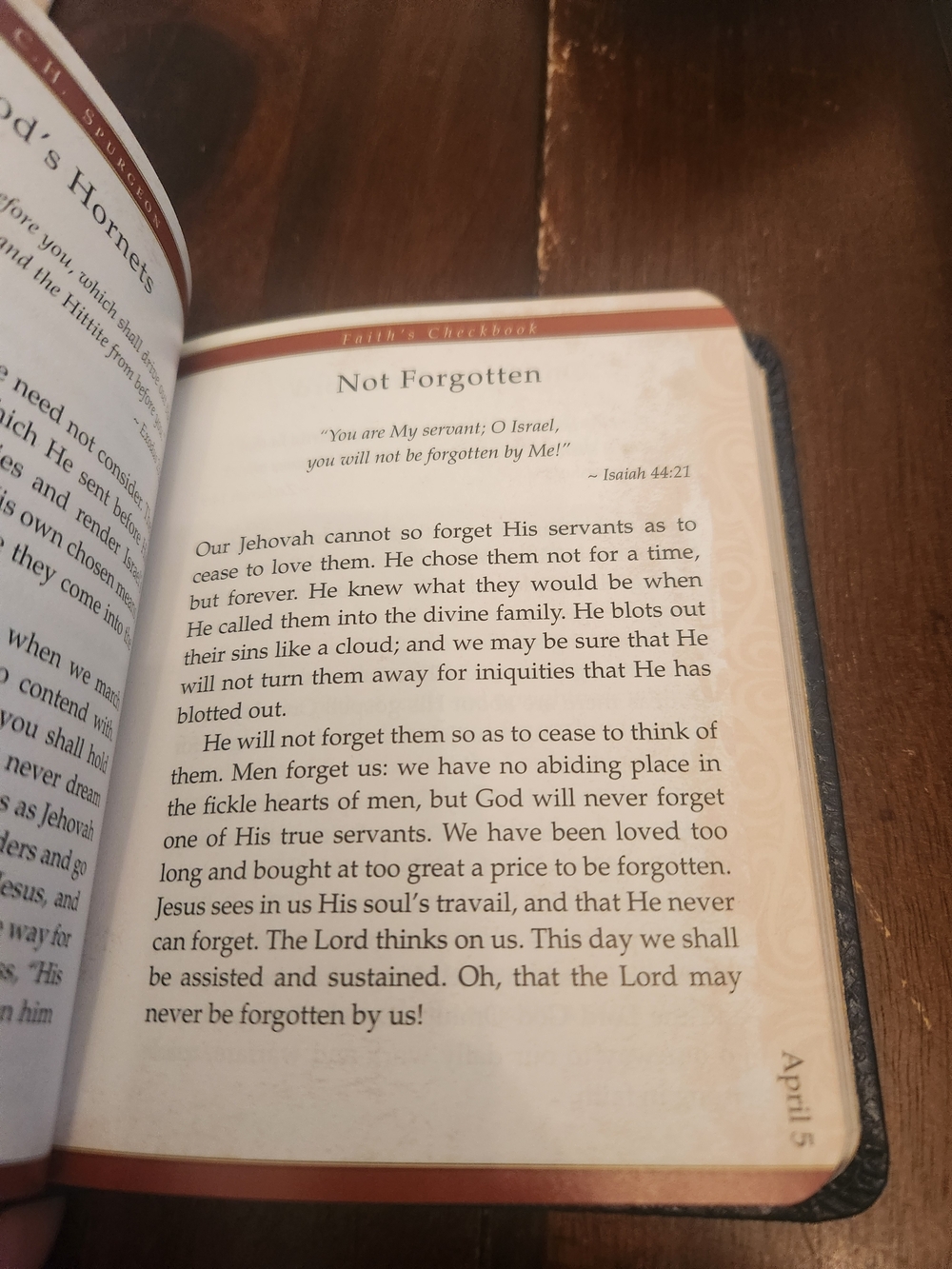 Faith's Checkbook- Daily Devotions - Picture 2 of 2